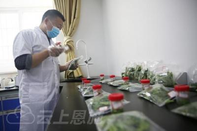 农药残留0.7%以下 巴东溪丘湾的茶叶质量安全吗？