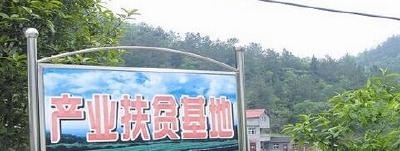 咸丰 | 坪坝营聚力产业扶贫已带动五千余贫困户入社