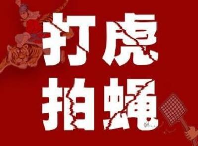 湖北移民局副局长李发平、黄冈市副市长汪治怀接受监察调查并被采取留置措施
