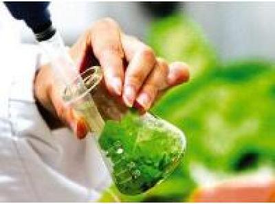 湖北省农产品质量安全监测合格率全国第一