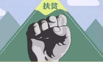 尖刀班 | 紧扣产业核心  夯实脱贫根基