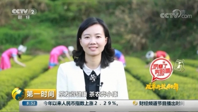 县长习覃登央视 电商茶类上热榜