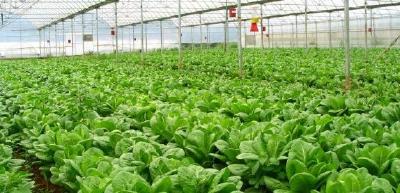 恩施州出台创建国家农产品质量安全州实施意见