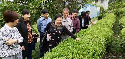 州委第三巡察组回访督查州农业局巡察整改落实情况
