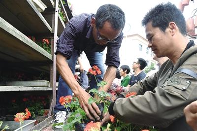 恩施盛家坝着力打造“鲜花小镇” 18000株鲜花免费发放给村民 