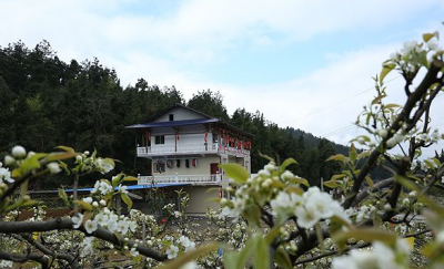 恩施州六个乡村入选省级美丽宜居乡村示范项目培育期名单
