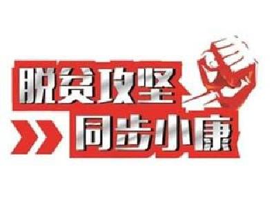 湖北省人大常委会召开专题电视电话会议 深化“聚力脱贫攻坚人大代表在行动”活动
