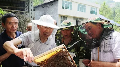 蜜蜂爷爷”卢自德当选“中国好人”