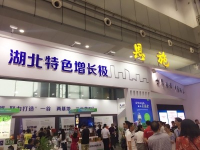 —— 我州组团参加2018第四届武汉国际电子商务暨“互联网+”产业博览会
