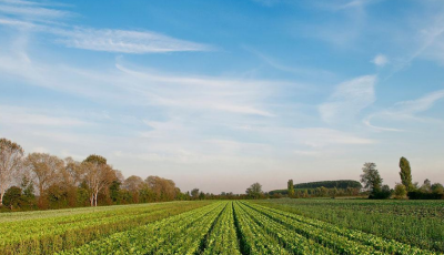 生态环境部对32个固体废物堆存点突出问题挂牌督办  湖北占...