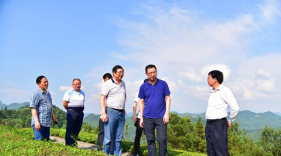 宣恩顺利通过2017年国家级出口茶叶质量安全示范区年审
