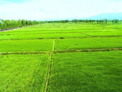 利川计划建设高标准农田12.69万亩