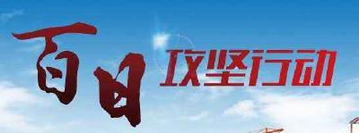 咸丰“百日攻坚”促项目落地