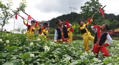  “土豆花儿开”文化旅游节即将开幕  去三岔共赴“洋芋盛宴”吧