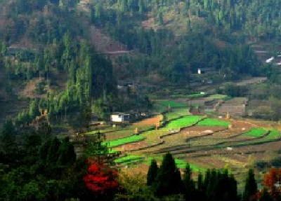 咸丰：“流动讲习所”巡回开讲 一二三四推动乡村文化建设 为乡村振兴注入活力