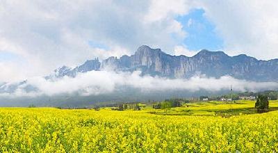 刘芳震在全州“四个三重大生态工程”建设现场推进会上要求 提升站位聚力攻坚 确保圆满完成任务