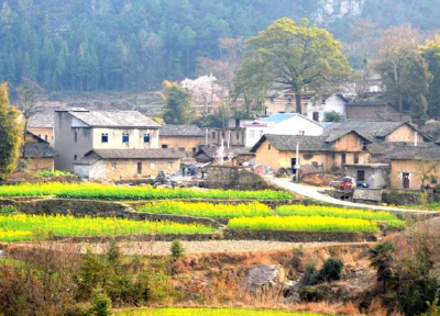 张建文在巴东调研时强调 全力以赴抓党建促脱贫攻坚促乡村振兴