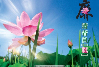 凤城“廉”花遍地开