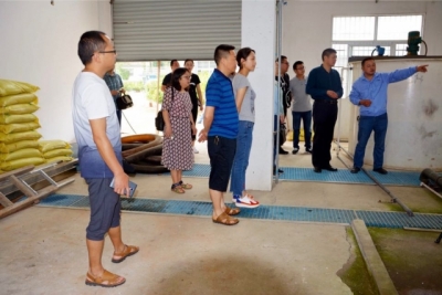鹤峰：世界环境日邀请市民参观污水处理厂和环境监测站