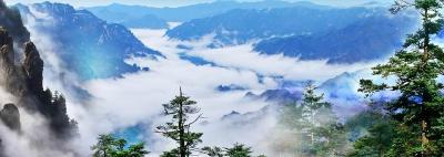 鄂渝两地成立自然保护地联盟 共护区域生态安全