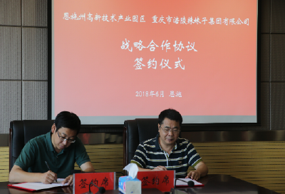“花开并蒂” 两个重点招商项目同日签约