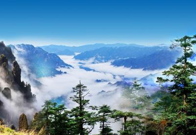 鄂渝两地成立自然保护地联盟 共护区域生态安全