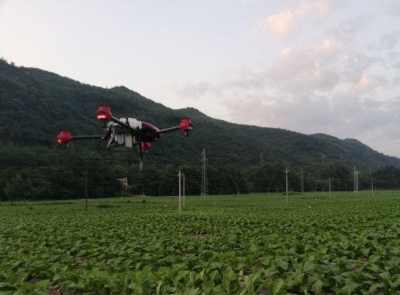 鹤峰县8000亩烟叶防控防治首次实现无人机管理