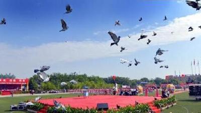 各地高考成绩今起陆续公布 高校招录有啥新变化?