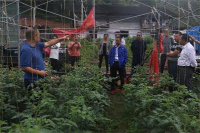 脱贫攻坚 | 外出取经谋脱贫