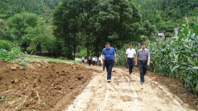 攻坚助农彰显职院担当