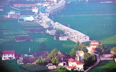 鹤峰：产业兴村舒画卷