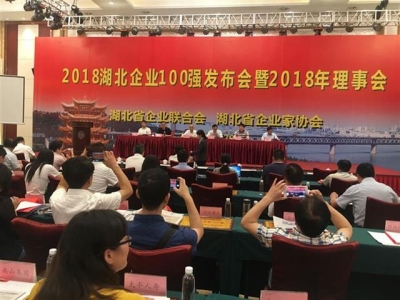 2018湖北企业100强发布，百强企业利润总额1187亿元