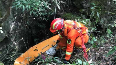 利川：农妇为了上山摘枞树菌 不慎掉进天坑
