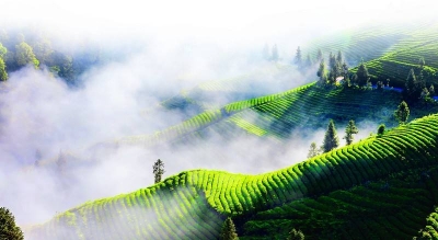 第五届硒博会中国名优（特色）硒产品评选办法出炉