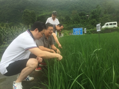 省农业行政综合执法总队负责人李峰一行调研我州农业行执法和精准扶贫