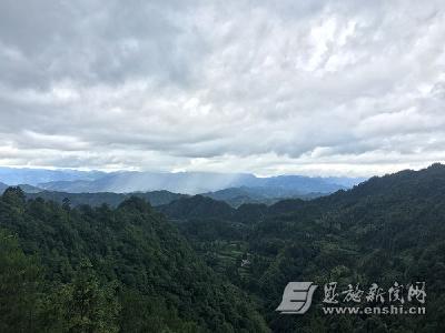 呵护生态“绿肺”：恩施州加强自然保护区建设纪实