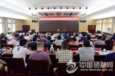 苏勇：聚焦重点 将“放管服”改革推深做实