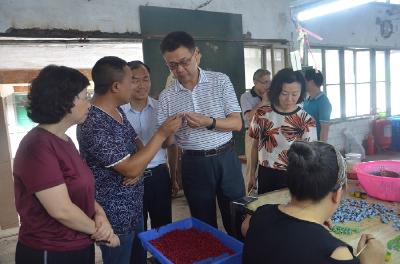 省商务厅厅长秦军调研我州商务扶贫工作