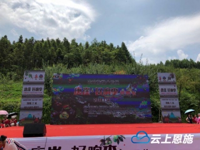 相约咸丰大路坝 只为“好响李”