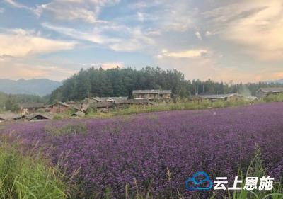利川夷水北城:纳凉避暑 赏花赏景