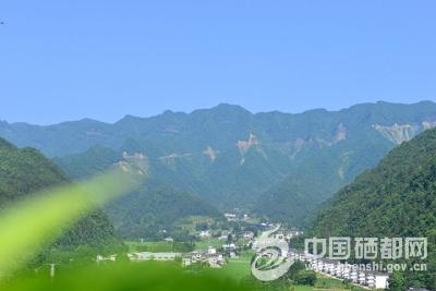 市领导到龙凤镇调研民宿产业发展工作
