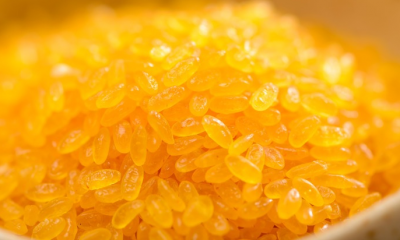 恩施市多部门调查起底真相 “黄金米”原来是玉米面做的