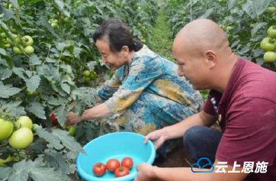 建始花坪镇：“住家”游客喜过农家生活