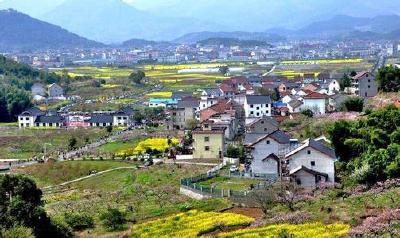 把实施乡村振兴战略摆在优先位置 “切实实施乡村振兴战略”专家讲习之一