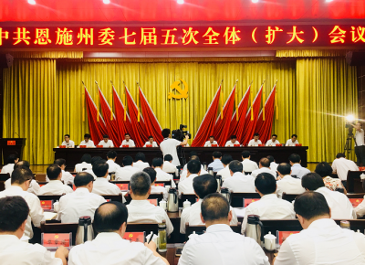 转作风 敢担当 善作为 抓落实 为决胜精准脱贫全面小康加快绿色发展 提供坚强有力保障