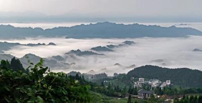 利川：云海苍茫惹人醉  美景如墨入画来