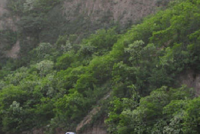 咸丰一轿车侧翻坠入30多米山沟消防官兵破拆救人