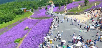 巴东举办野三关森林花海动漫节