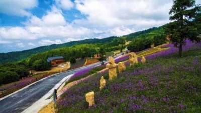 巴东打造野三关高山避暑硒康养旅游度假区