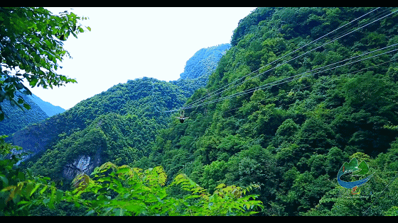 当“野马”遇上“州庆” ，秘境巴东走一波旅游福利……
